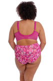 Kayla Full Briefs (Summertime) Available in size 4XL only