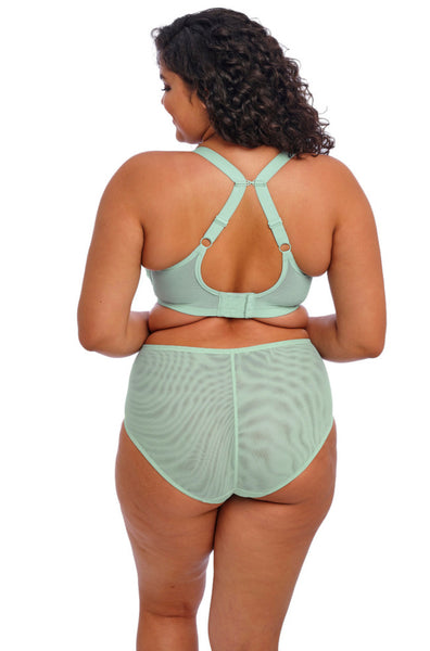 Elomi Brianna Padded Half Cup Bra Frozen - DD to HH Cups
