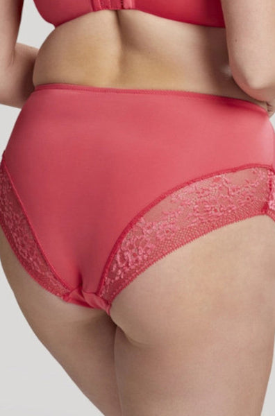 Roxie High Waist Brief (Hot Coral) Available in size 24 only - Not Just Bras