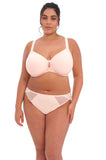 Elomi Charley Full Brief Ballet Pink - Mesh Lace Lingerie M-4XL