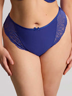 Entice Brazillian Brief - Indigo