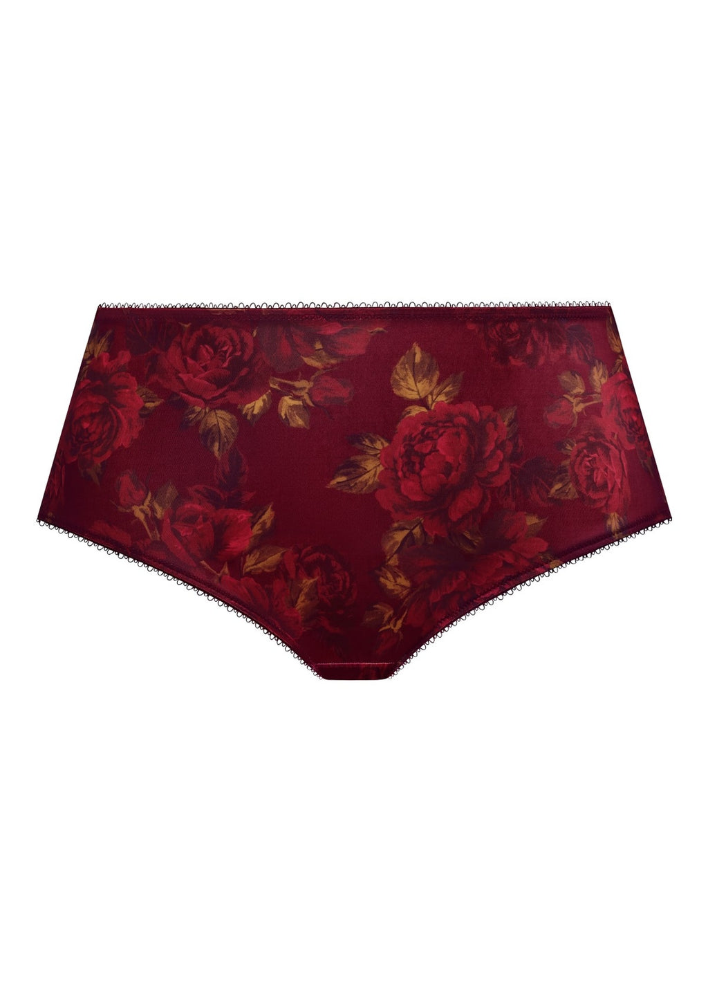 Goddess Kayla Cassis brief underwear in deep purple, front view