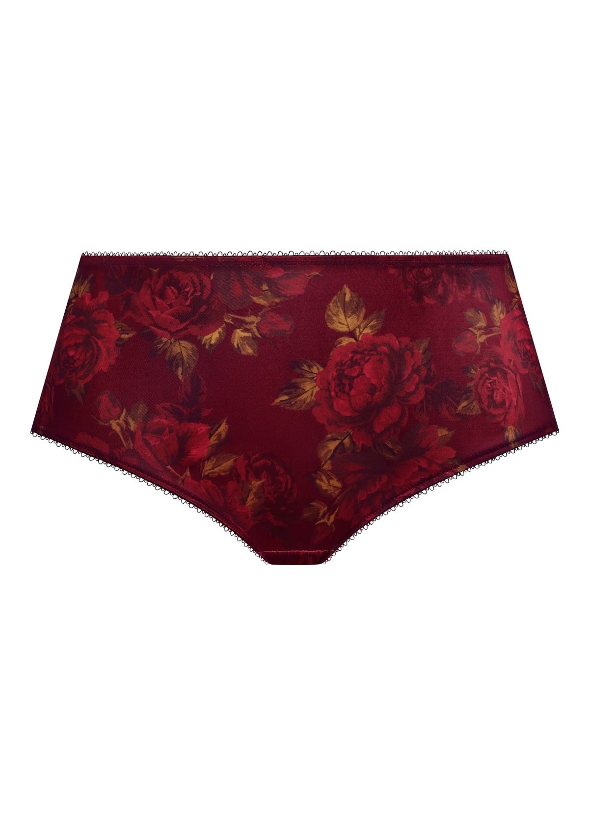 Goddess Kayla Cassis brief underwear in deep purple, front view