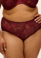 Goddess Kayla Cassis brief underwear in deep berry with delicate lace detailing