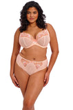 Himari High Leg Brief (Peach)