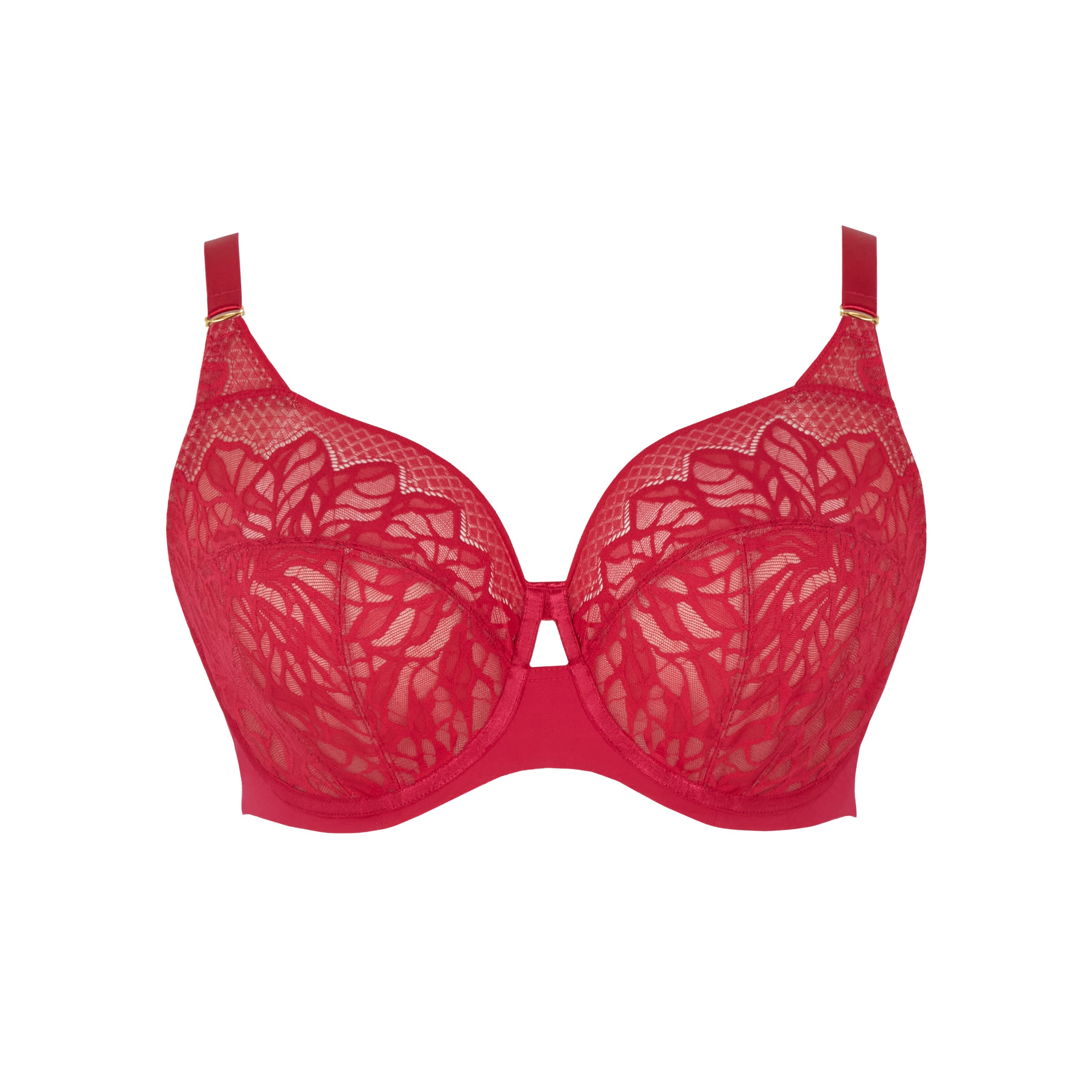 Sophia Underwired Full Cup Bra - Raspberry