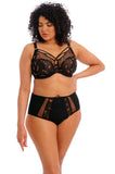 Sachi UW Plunge Bra (Black Butterfly) Available in sizes 12GG and 10J cups only
