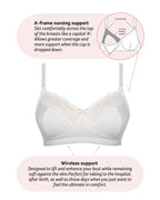 Show Off Maternity Bra in ivory from HOT MILK, featuring soft fabric and supportive design for comfortable nursing.