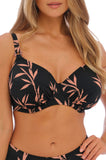 Luna Bay Bikini Top (Taupe/Black) Available in size 12E only