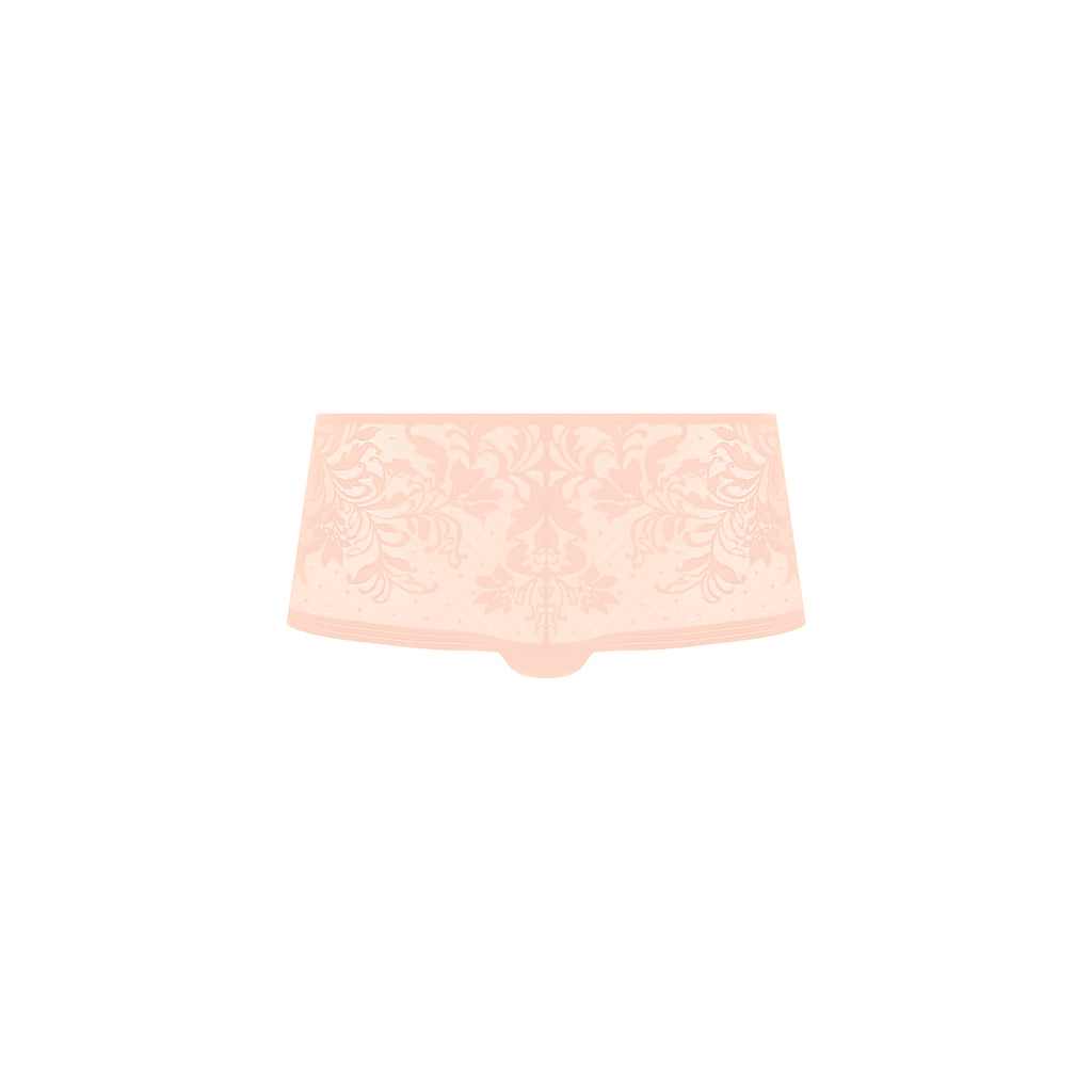Net Effects Lace Boyshorts - Nude