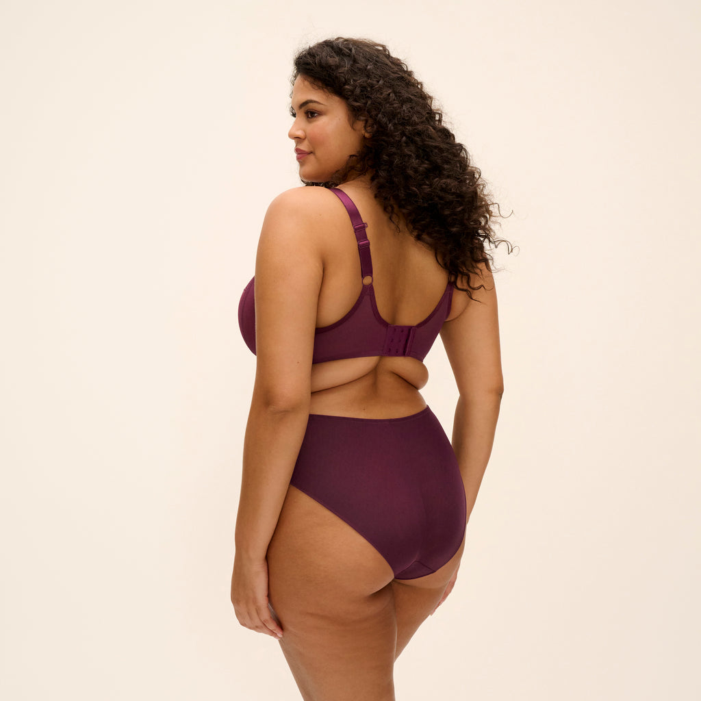 Reja Underwire Plunge Bra - Fig