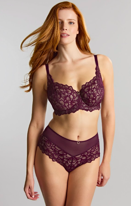 Allure Full Brief - Plum