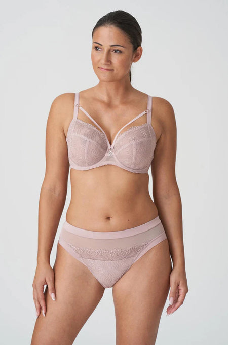 DANIELLE BRIEF  (MAUVE)