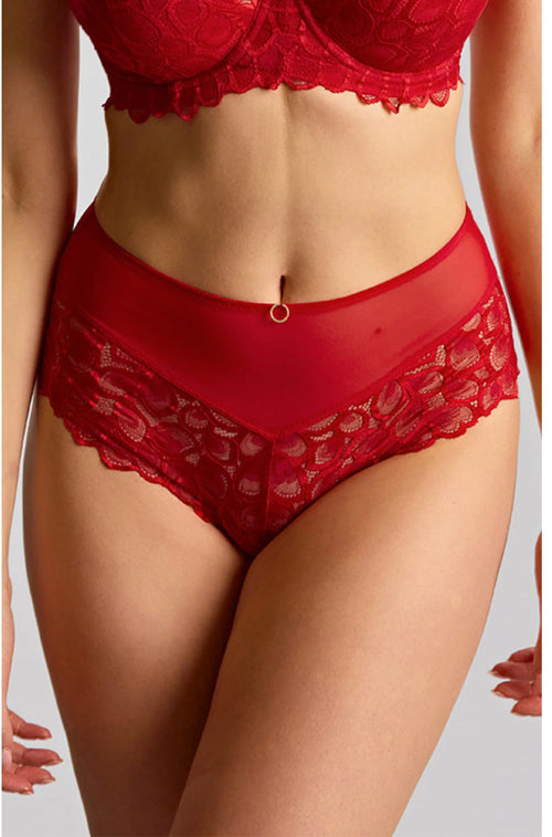True red high-waist lace brief by Panache, featuring a delicate lace design and a soft cotton gusset.