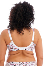 ELOMI Lucie UW Plunge Bra with stretch lace in Rumble color, featuring underwire support and a plunging neckline.
