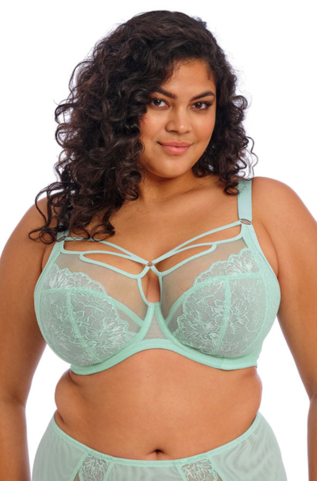 Elomi Brianna plunge bra in frozen color, featuring daring support for E cups, bold style and comfortable fit.