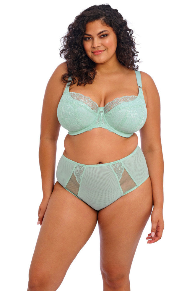 Elomi Brianna full brief in Frozen color, featuring curve-enhancing design for comfort and support.