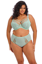 Elomi Brianna full brief in Frozen color, featuring a bold design and curve-enhancing comfort, sizes 2L-4L available.