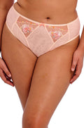 Peach high leg brief from ELOMI, available in 2XL, 3XL, and 4XL sizes, designed for comfort and style.
