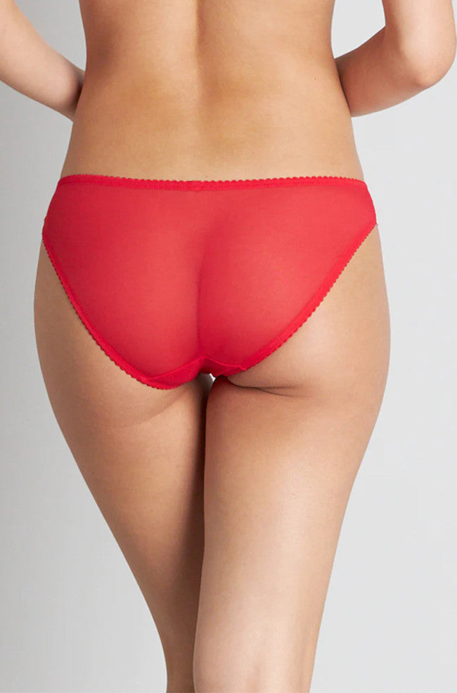 Me Sofia Lace Bikini Brief in Bittersweet stretch mesh lingerie, L-XL, with delicate lace and comfortable fit.