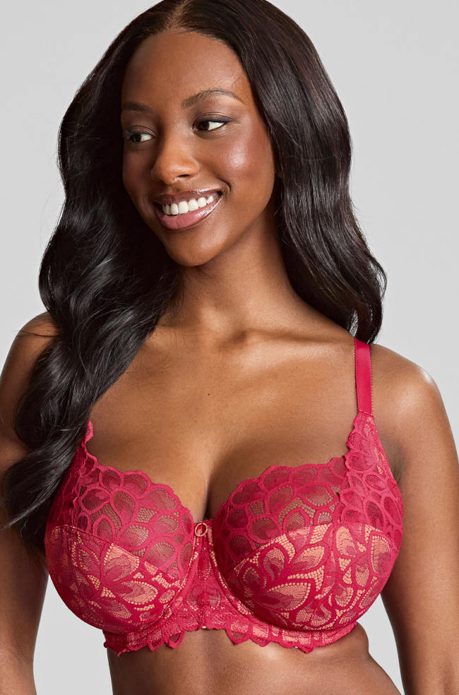 Raspberry Panache Allure underwire full cup bra with four-piece cup design for D-J sizes