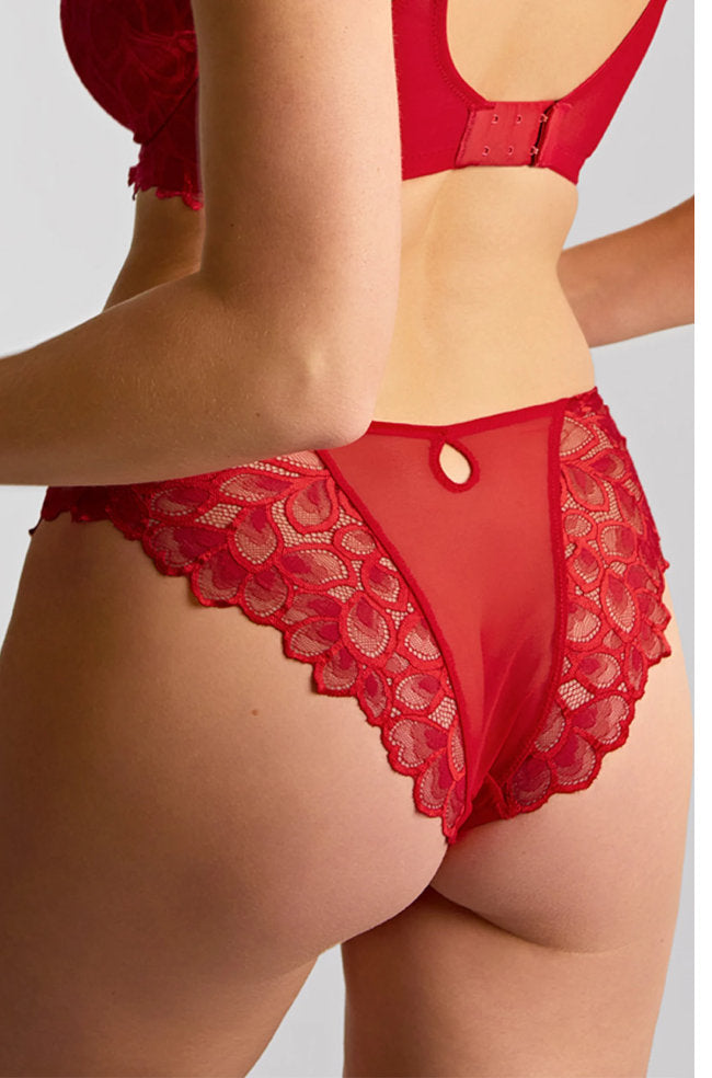 Panache Allure red lace Brazilian brief with cotton gusset, showcasing intricate lace detailing and comfortable fit.