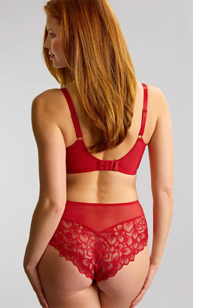 Panache Allure High Waist Lace Brief in True Red with cotton gusset and elegant lace detailing