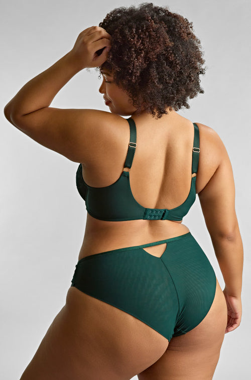 Forest green high-waisted Josephine brief underwear by Panache, style includes full coverage and comfort fit.