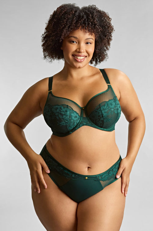 Forest green high-waisted brief by Panache, featuring a comfortable fit and full coverage