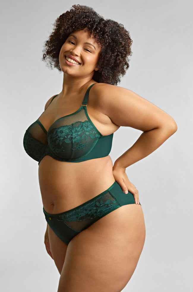Forest green high-waisted brief by Panache, featuring soft fabric and comfortable fit, available in sizes 12 to 16.