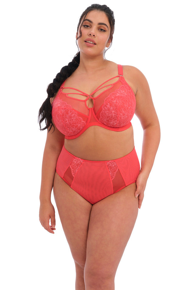 Brianna UW Plunge Bra (Cayenne) Available in size 10GG only