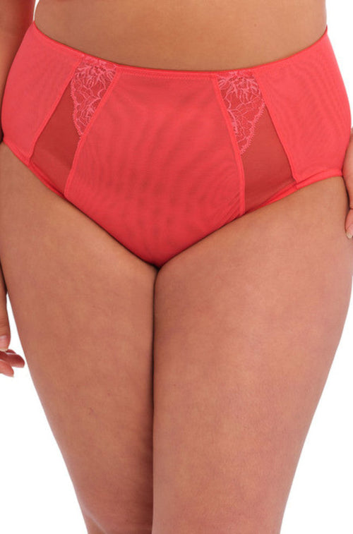 Brianna Full Brief  (Cayenne) Available in size 2XL only