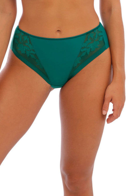 Illusion Bikini Brief (Emerald) Available in sizes XL-2XL.