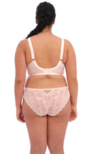 Ballet pink mesh lace Brazilian brief in size 3XL by Elomi