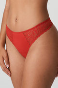 Scarlet I Do String brief by Primadonna, available in sizes L to 2XL, featuring a sleek g-string design.