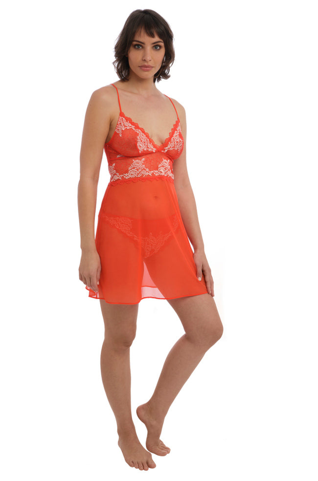 Lace Perfection Chemise (Fiesta) Available in sizes M and L only - Not Just Bras